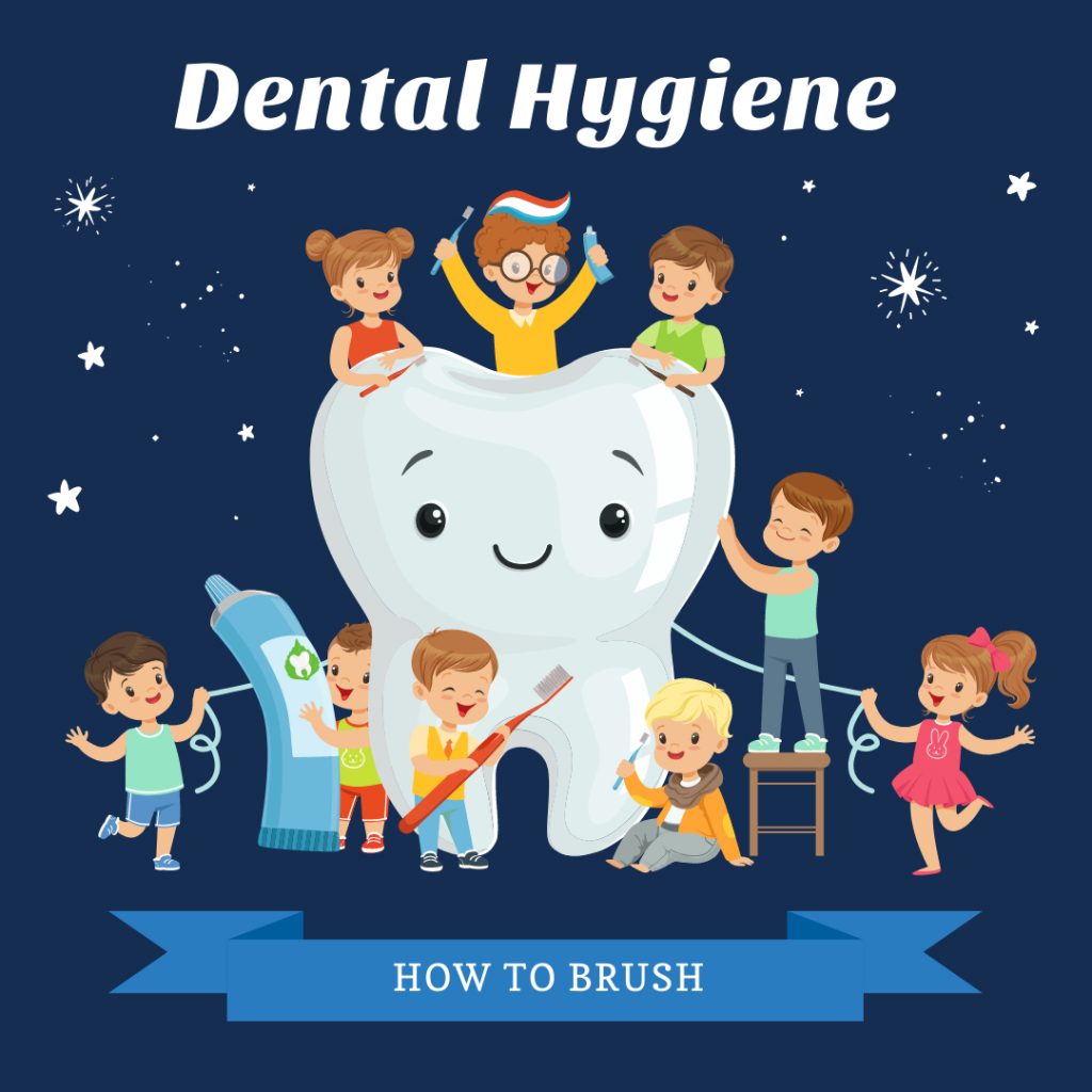 Dental Hygiene - How to Brush