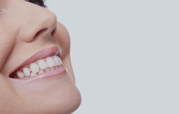 Encino Dentistry In-Office Membership Plan