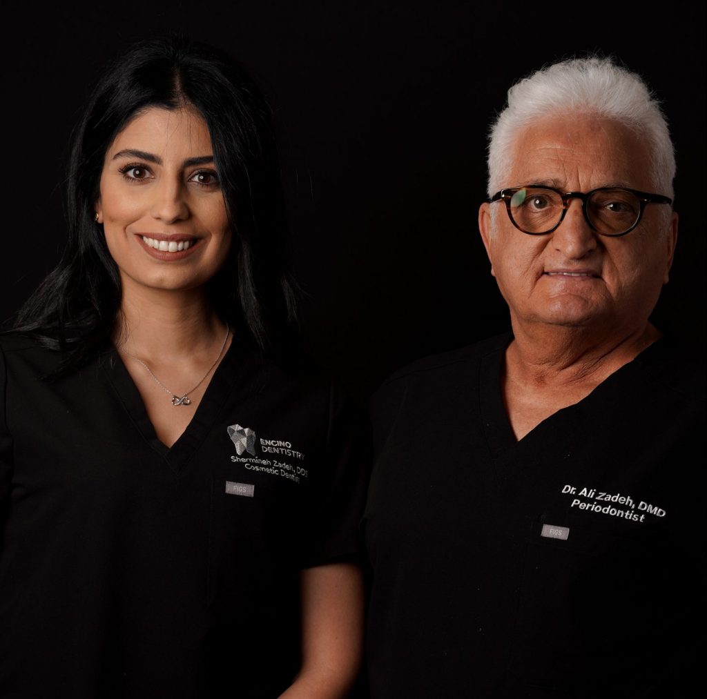 Dr Ali and Dr Shermineh Zadeh